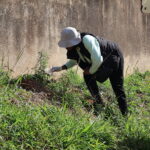 Open Air Clean Up004